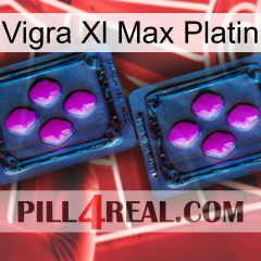 Vigra Xl Max Platinum 03